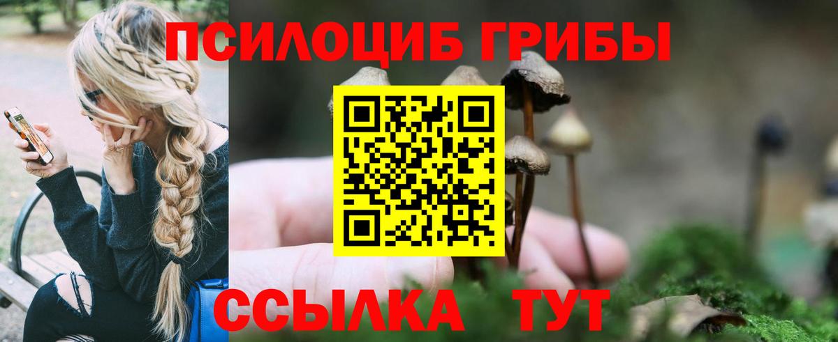 Галлюциногенные грибы GOLDEN TEACHER Бирск