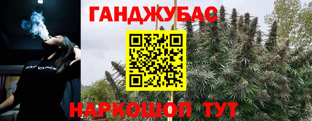 Шишки марихуана конопля  Вход с VPN  Бирск  Марихуана план  Бошки марихуана MAZAR  Марихуана White Widow 